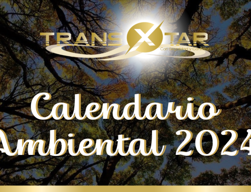 CALENDARIO AMBIENTAL 2024 II